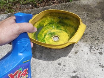 Use mold and mildew cleaner for chicken waterer bowl