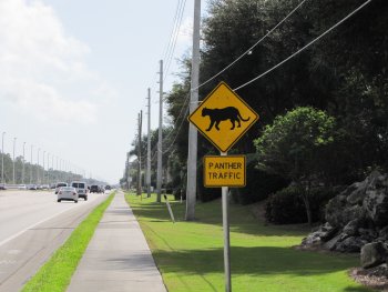 Panther Traffic Signs and  Sidewalk