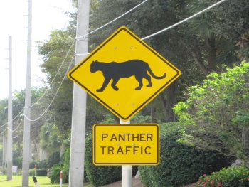 Panther Traffic signs - Naples, FL